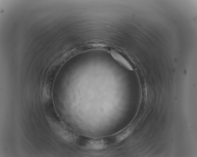 X0000081490606200701121512