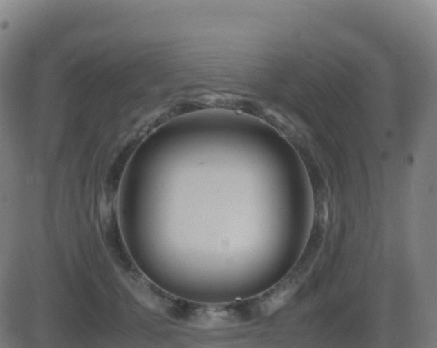 X0000081490607200701121512