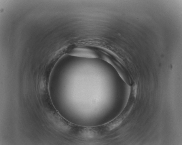 X0000081490608200701121512