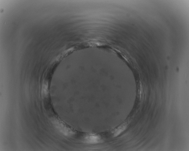 X0000081490610200701121512