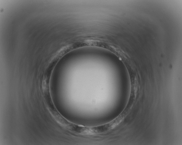 X0000081490611200701121512