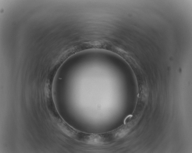 X0000081490612200701121512