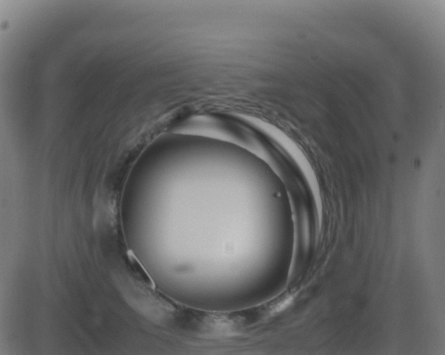 X0000081490613200701121512