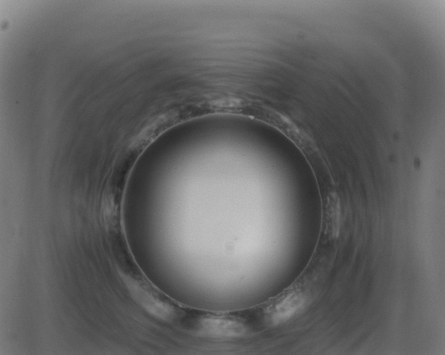 X0000081490614200701121512