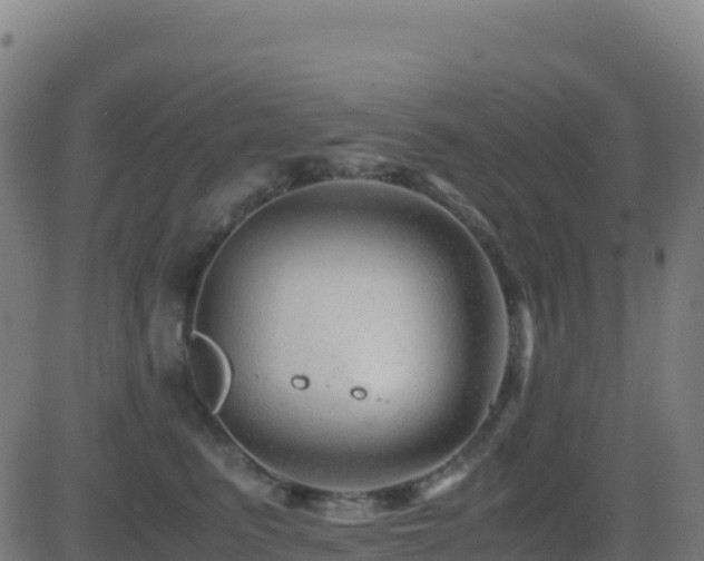 X0000081490615200701121512