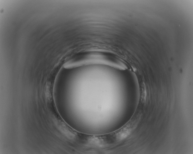 X0000081490616200701121512