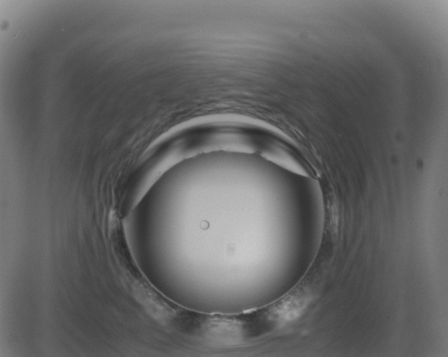 X0000081490617200701121512