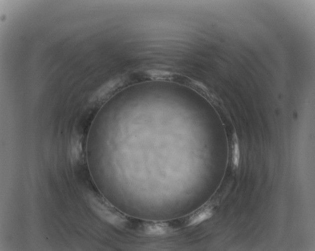 X0000081490618200701121512