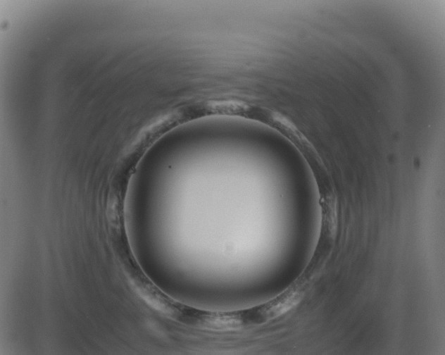 X0000081490619200701121512