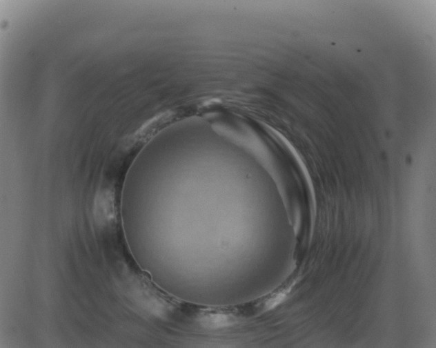 X0000081490620200701121511