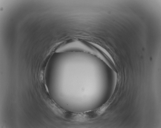 X0000081490621200701121511