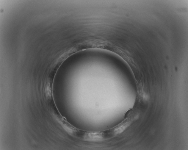 X0000081490622200701121511