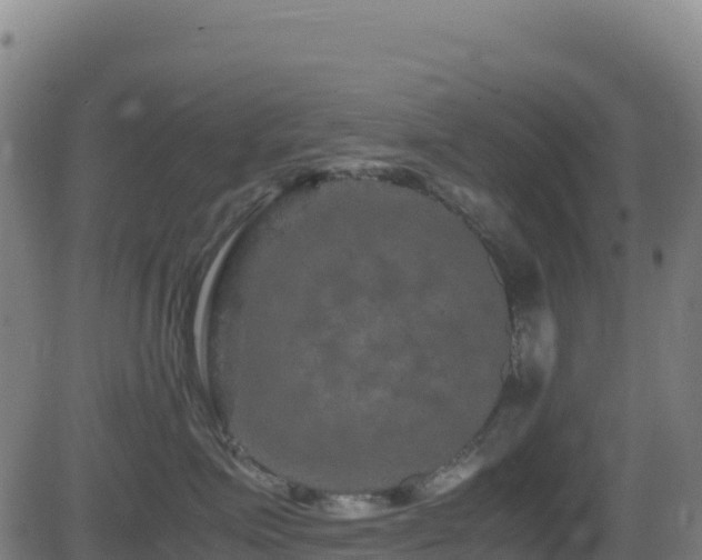 X0000081490623200701121511