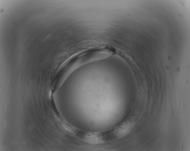 X0000081490624200701121511