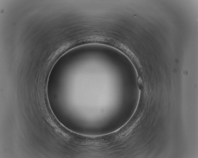 X0000081490625200701121511