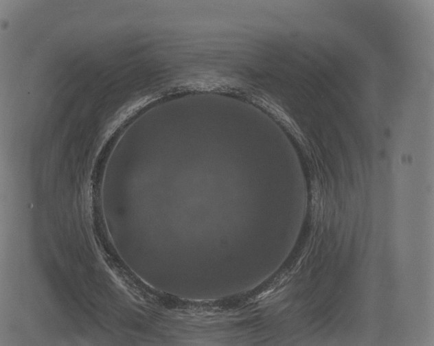 X0000081490626200701121511