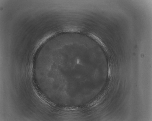 X0000081490627200701121511