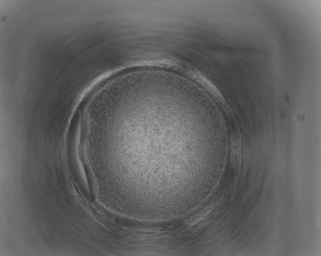 X0000081490628200701121511