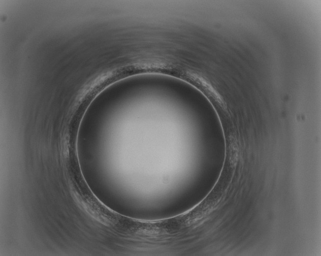 X0000081490631200701121511