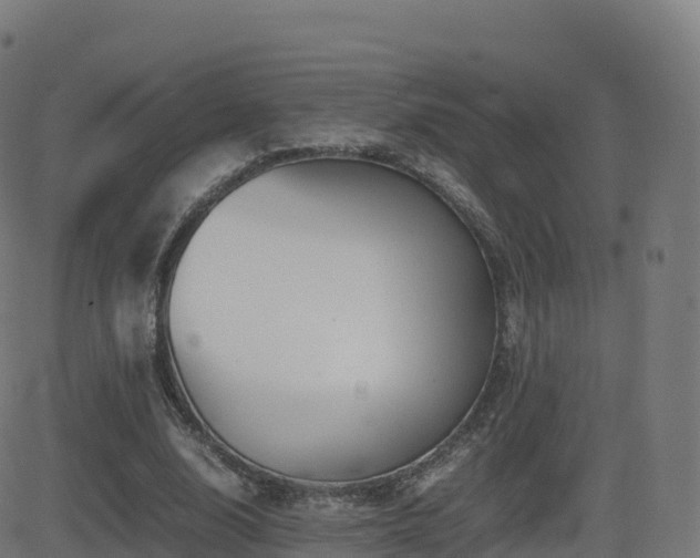 X0000081490632200701121511