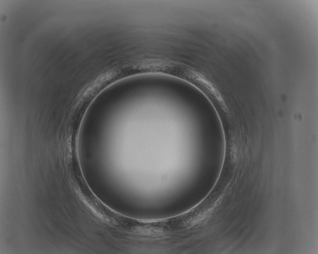 X0000081490633200701121511