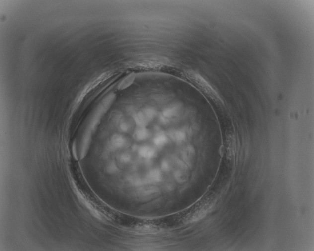 X0000081490634200701121511