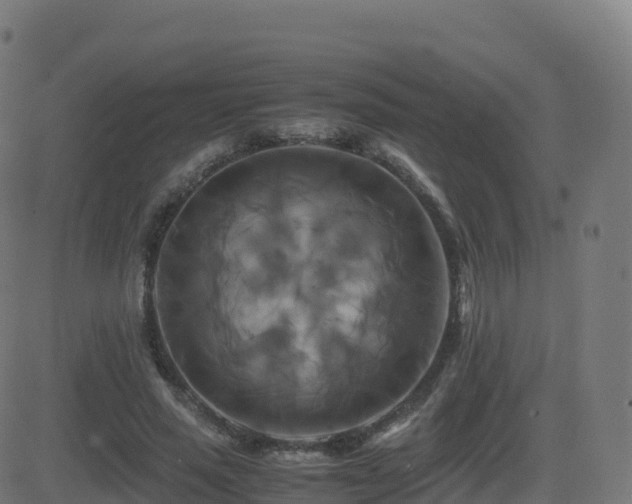 X0000081490637200701121511