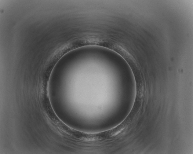 X0000081490639200701121511