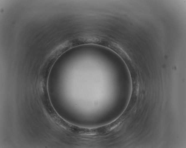 X0000081490643200701121511