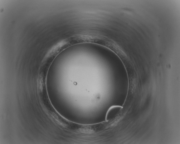 X0000081490644200701121511