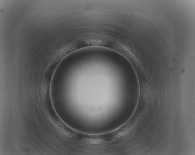 X0000081490645200701121511