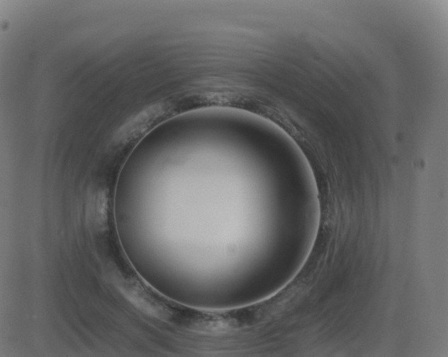 X0000081490646200701121511