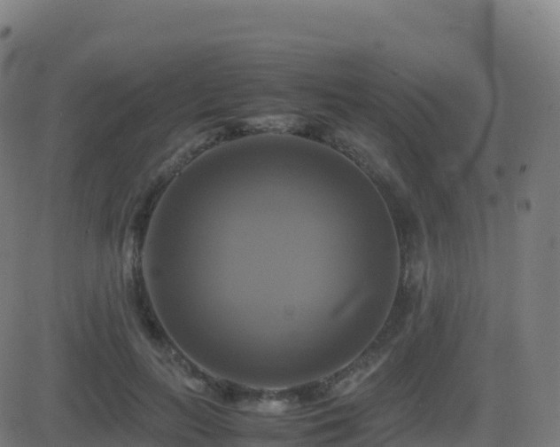 X0000081490647200701121511