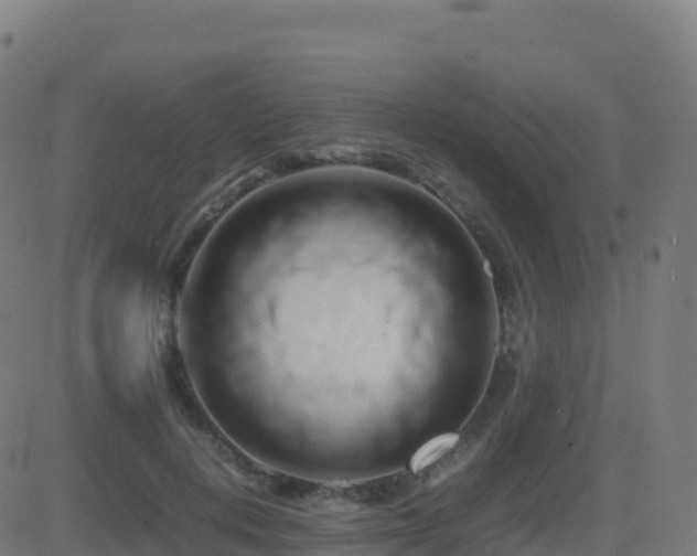 X0000081490648200701121511