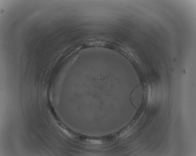 X0000081490649200701121511