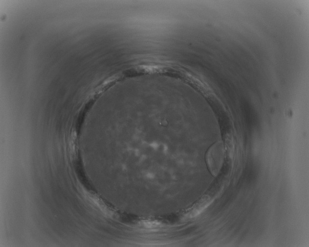 X0000081490650200701121511