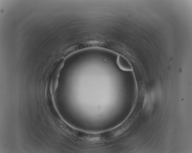 X0000081490651200701121511