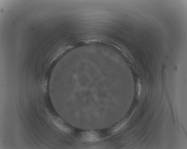 X0000081490652200701121511