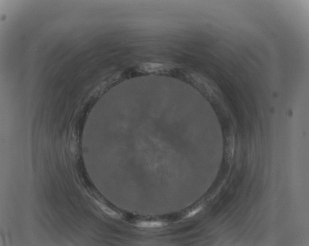 X0000081490653200701121511