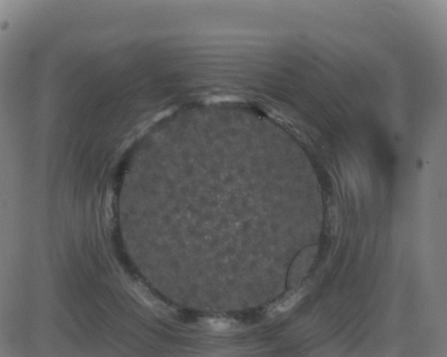 X0000081490654200701121511