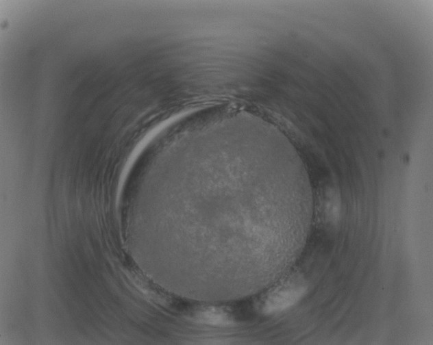 X0000081490656200701121511