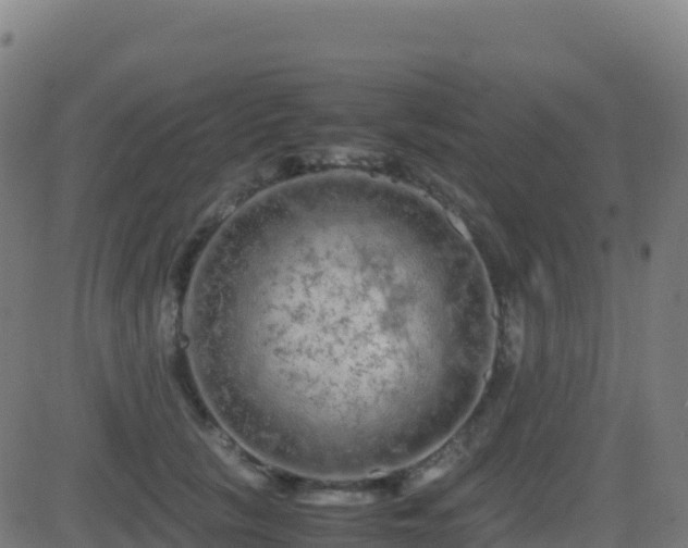 X0000081490657200701121511