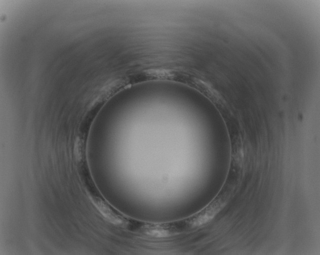 X0000081490658200701121511