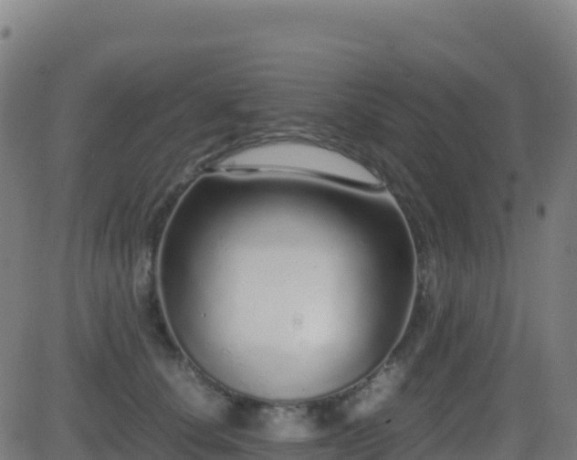 X0000081490660200701121511