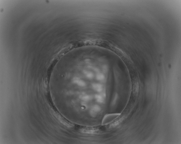 X0000081490661200701121511