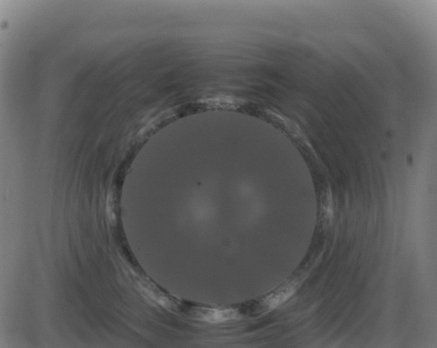 X0000081490663200701121511