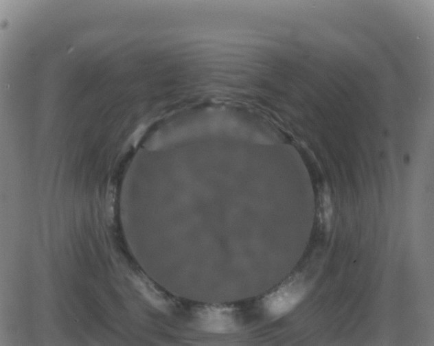 X0000081490664200701121511