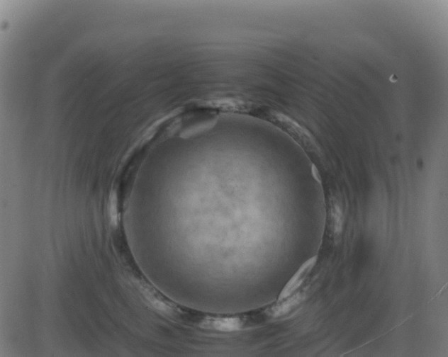 X0000081490665200701121511