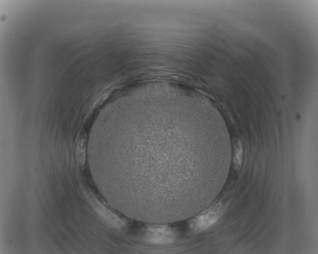 X0000081490666200701121511