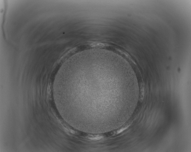 X0000081490667200701121511